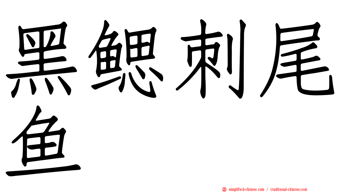 黑鳃刺尾鱼