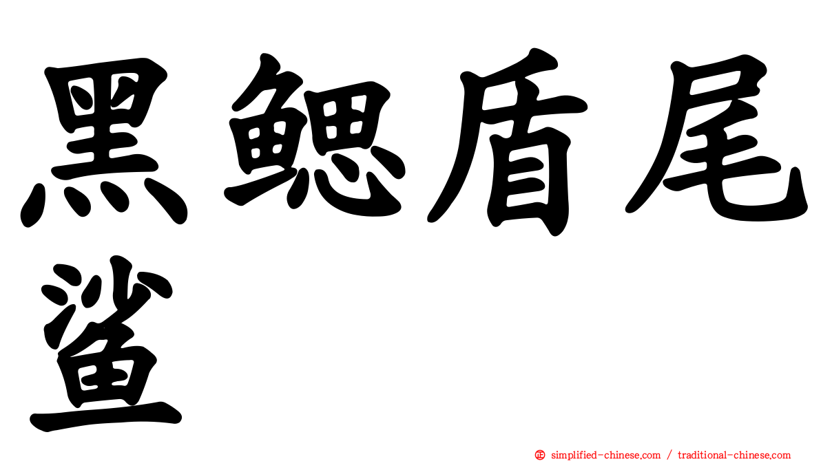黑鳃盾尾鲨