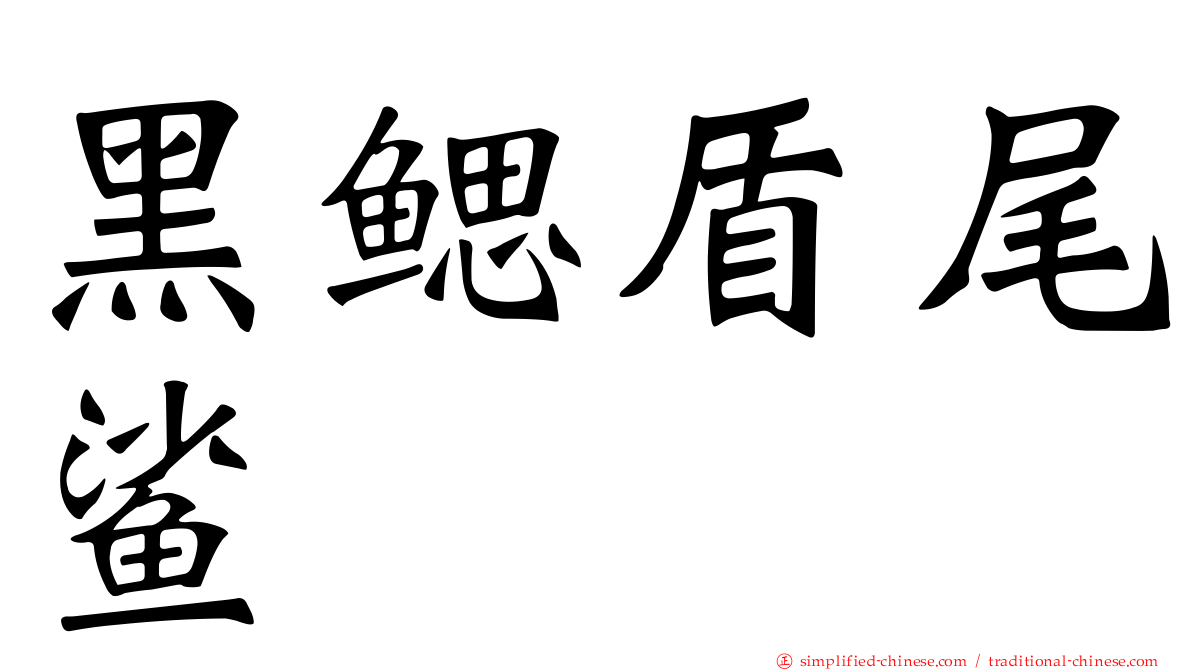 黑鳃盾尾鲨