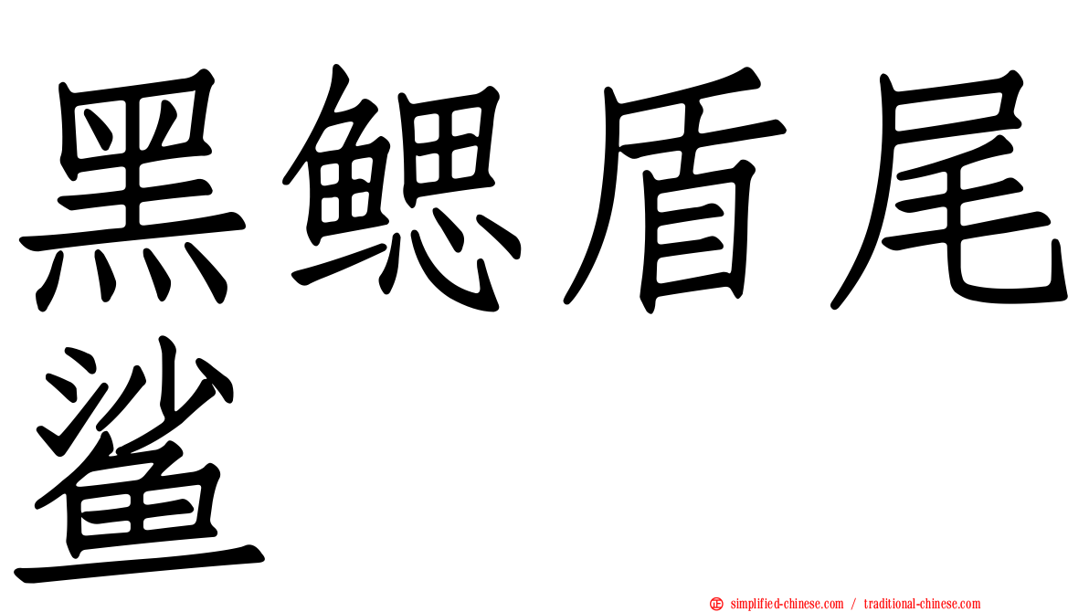 黑鳃盾尾鲨