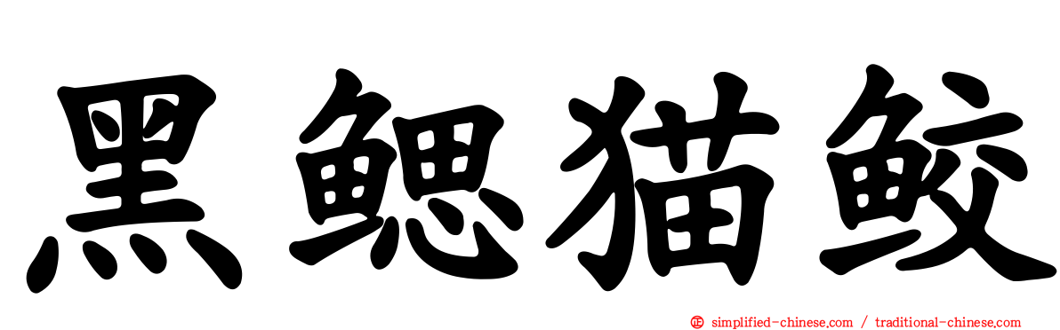 黑鳃猫鲛