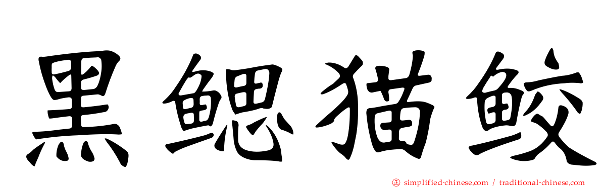 黑鳃猫鲛
