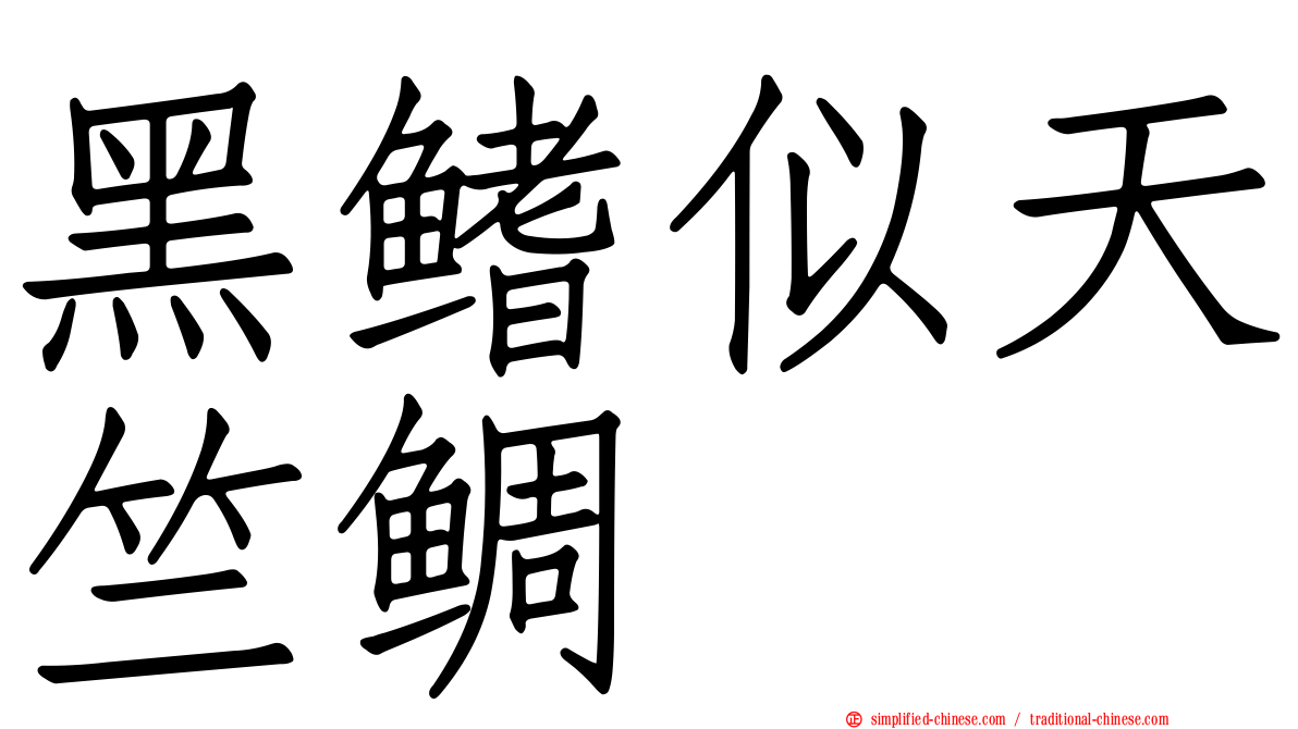黑鳍似天竺鲷