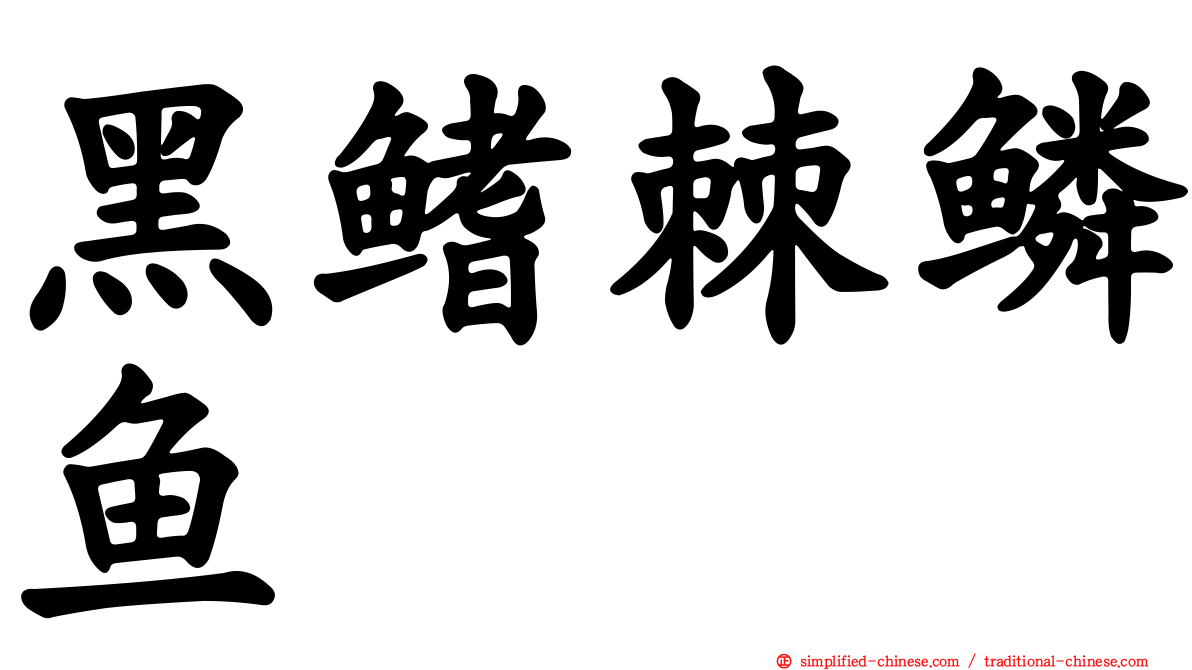 黑鳍棘鳞鱼