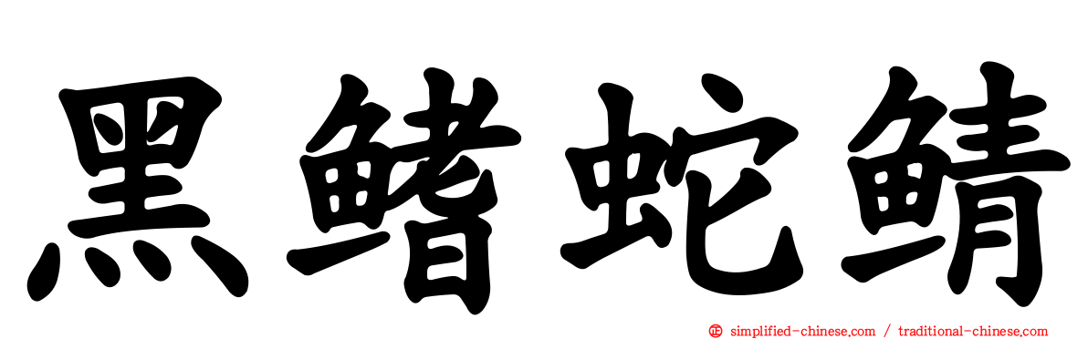 黑鳍蛇鲭