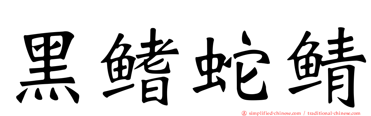 黑鳍蛇鲭
