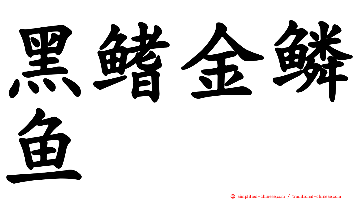 黑鳍金鳞鱼