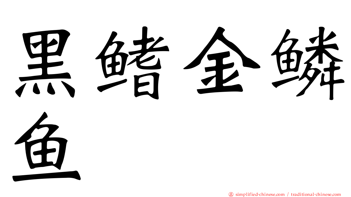 黑鳍金鳞鱼