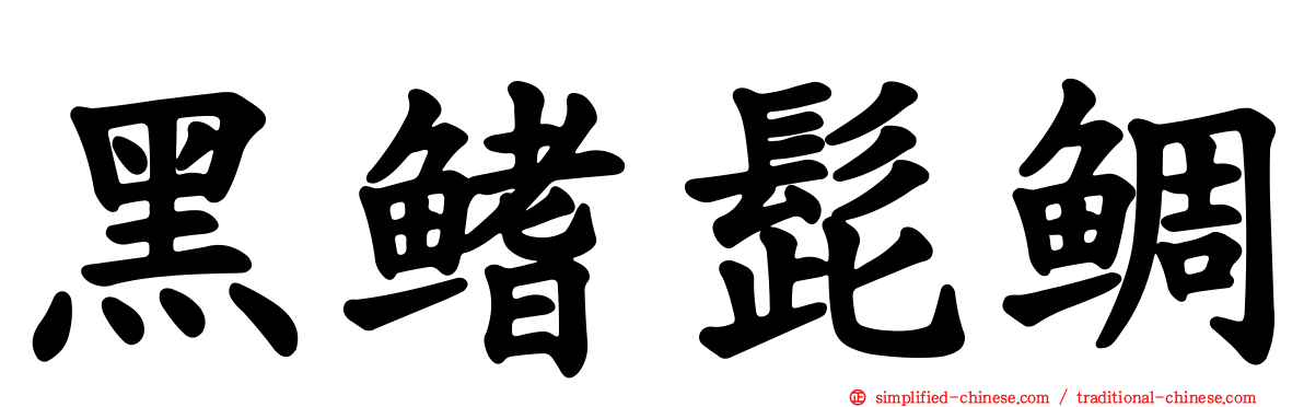 黑鳍髭鲷