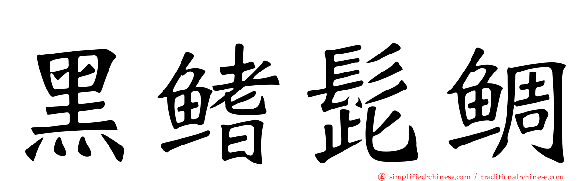 黑鳍髭鲷