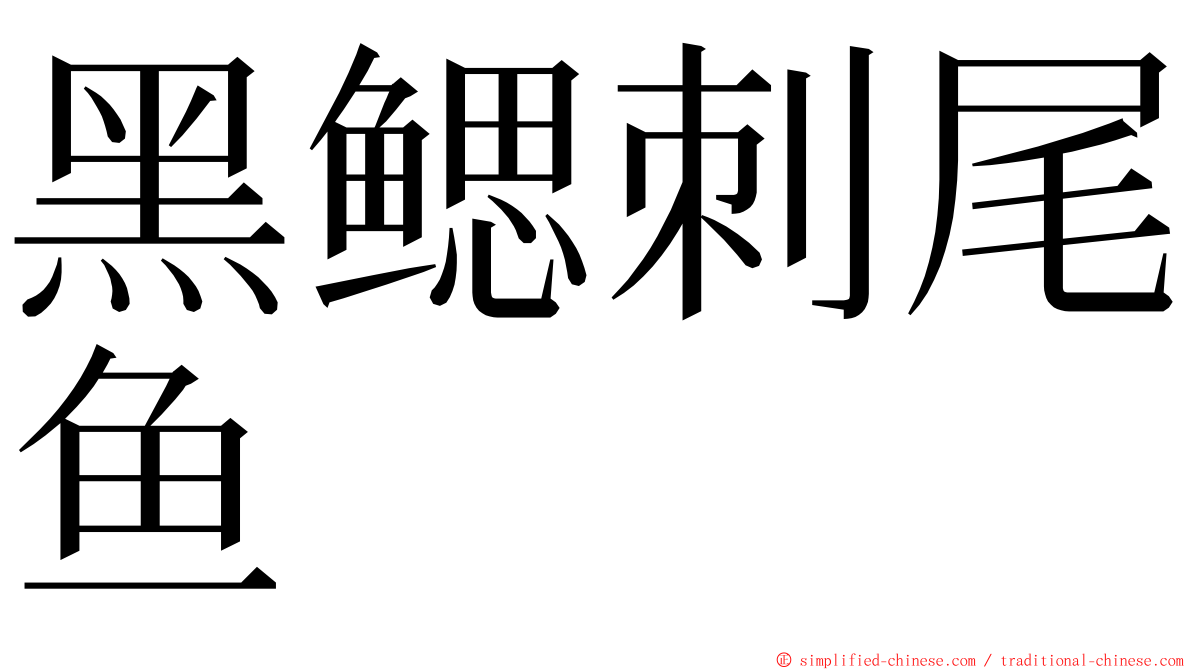 黑鳃刺尾鱼 ming font