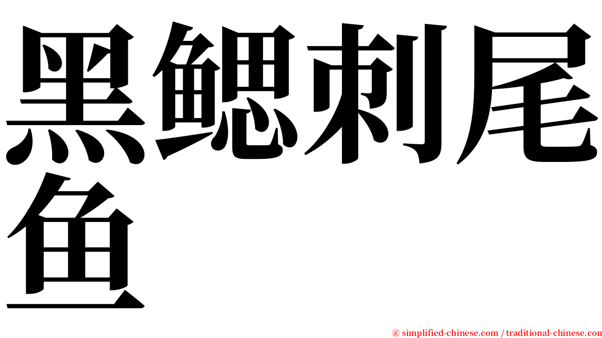 黑鳃刺尾鱼 serif font