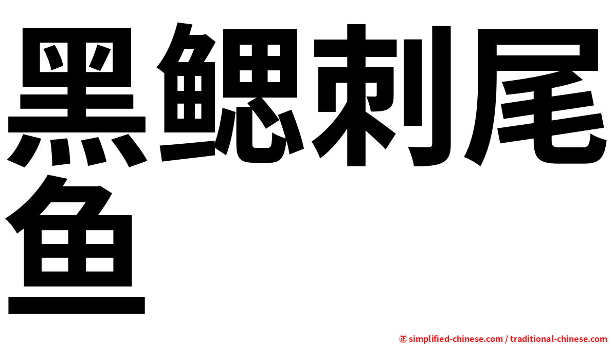 黑鳃刺尾鱼