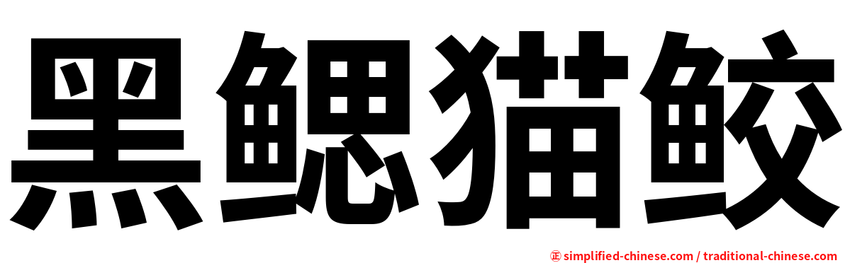 黑鳃猫鲛
