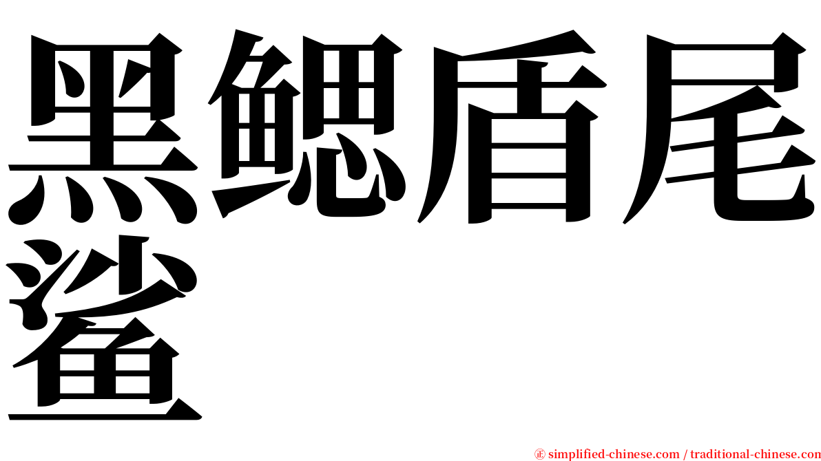黑鳃盾尾鲨 serif font
