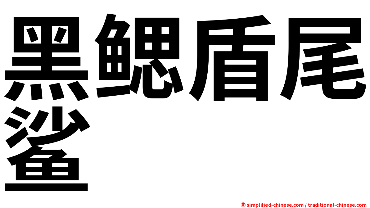 黑鳃盾尾鲨