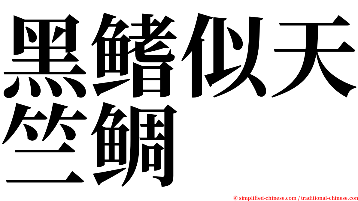 黑鳍似天竺鲷 serif font