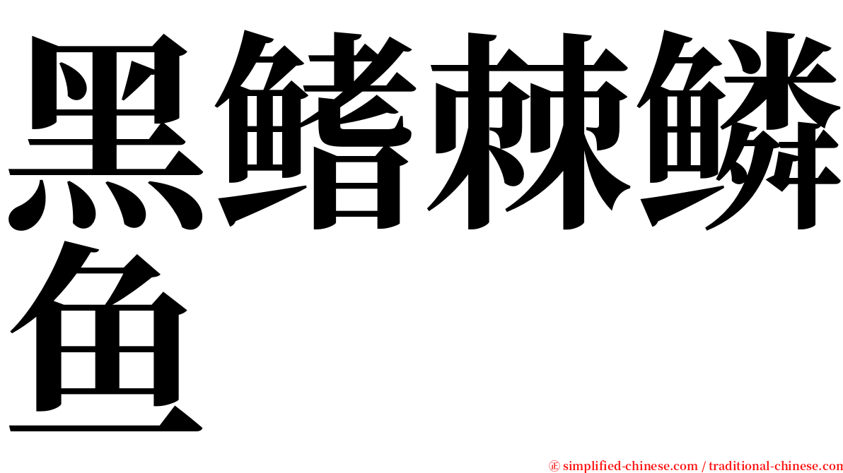 黑鳍棘鳞鱼 serif font