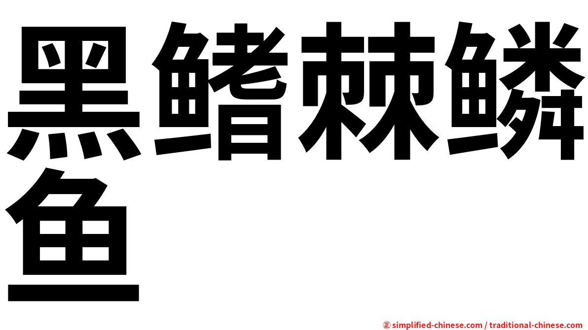 黑鳍棘鳞鱼