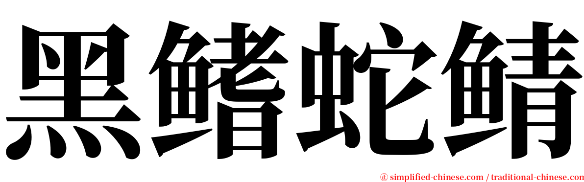 黑鳍蛇鲭 serif font