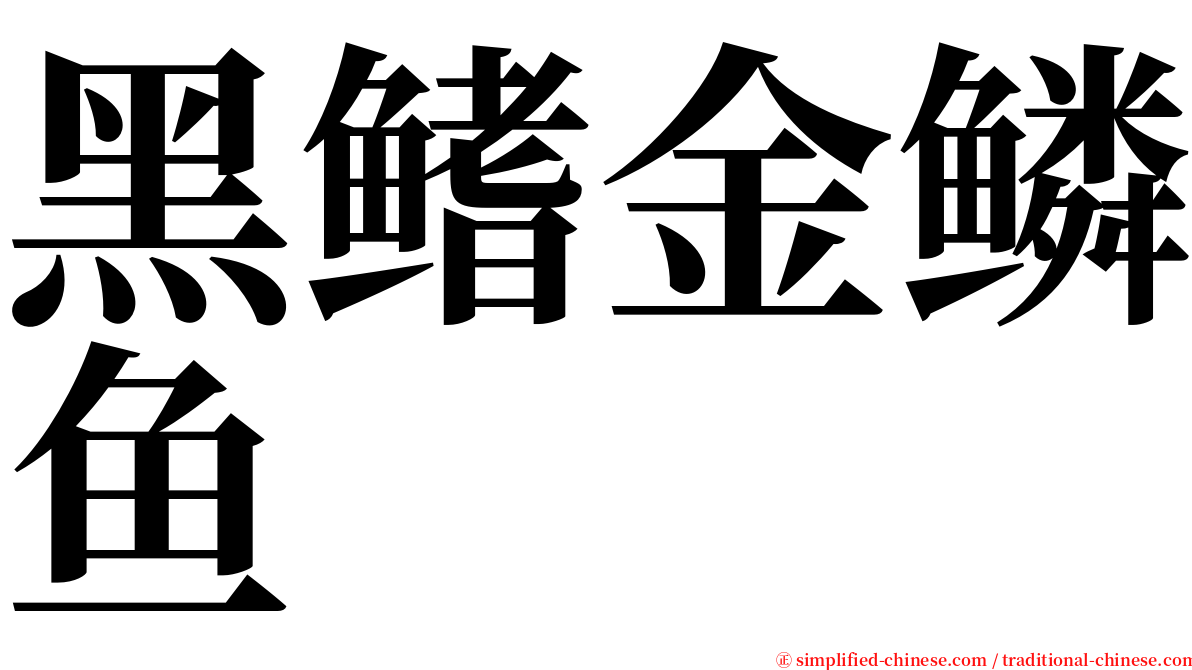 黑鳍金鳞鱼 serif font