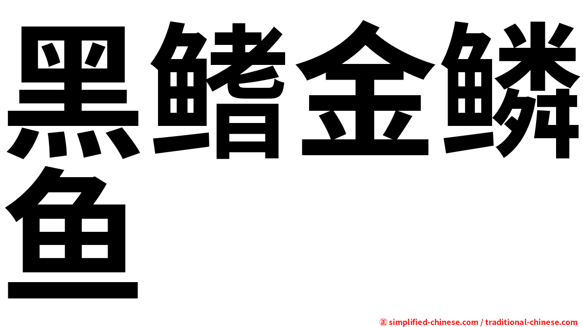 黑鳍金鳞鱼