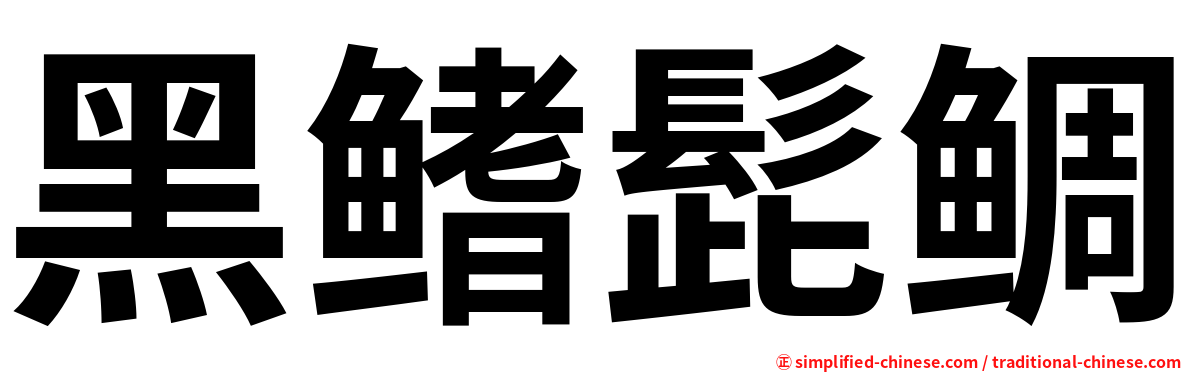 黑鳍髭鲷