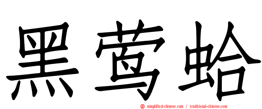 黑莺蛤
