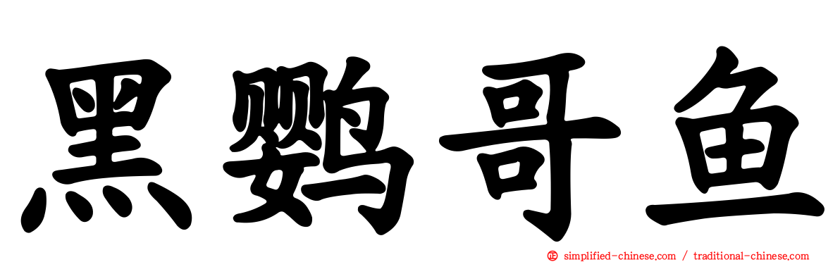 黑鹦哥鱼