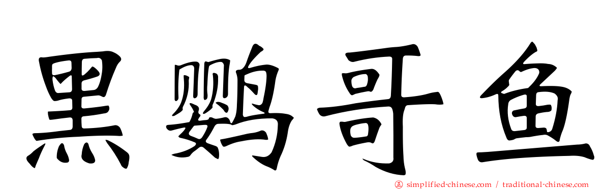 黑鹦哥鱼
