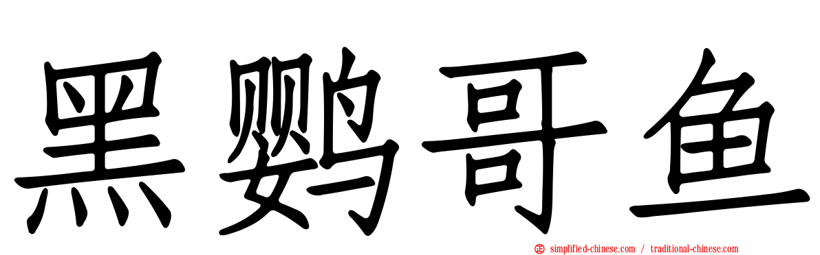 黑鹦哥鱼