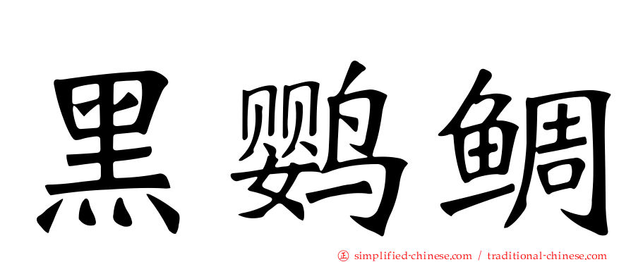 黑鹦鲷