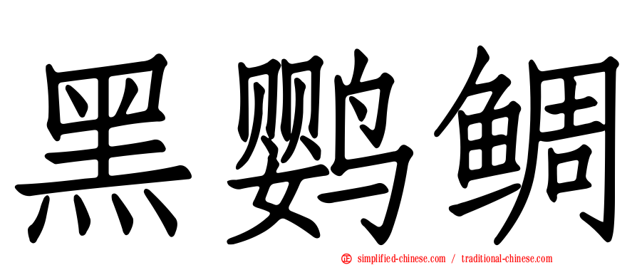 黑鹦鲷