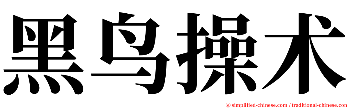 黑鸟操术 serif font