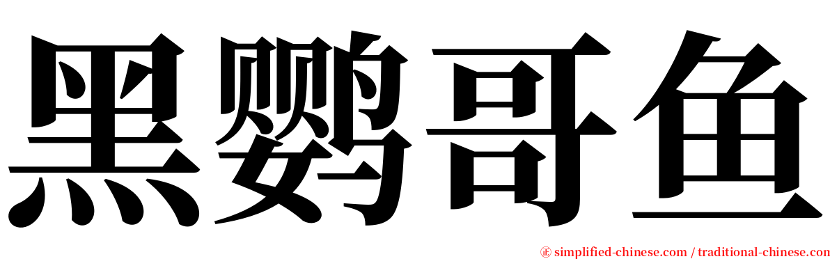 黑鹦哥鱼 serif font