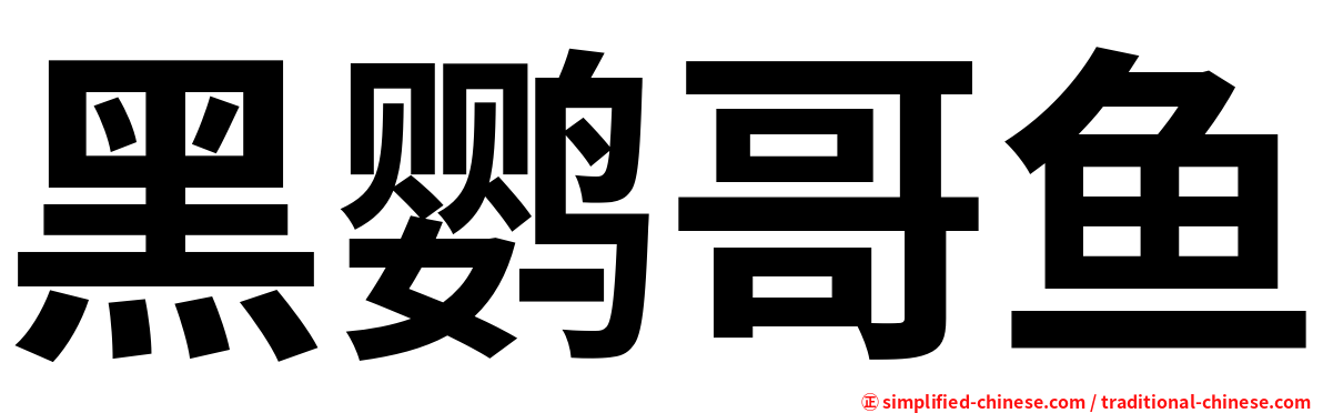 黑鹦哥鱼