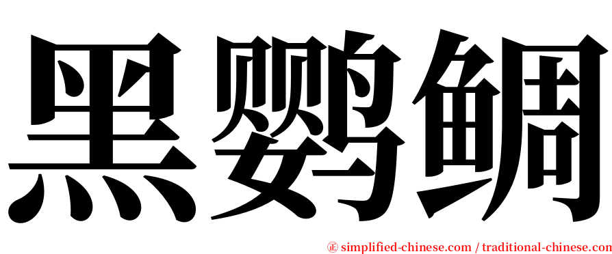 黑鹦鲷 serif font