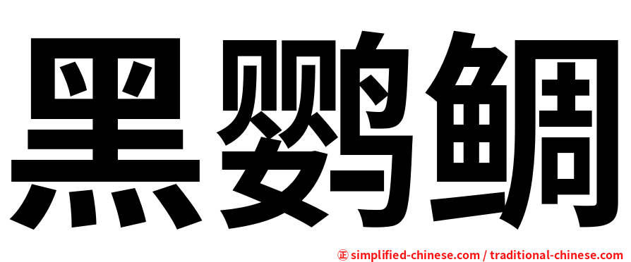 黑鹦鲷