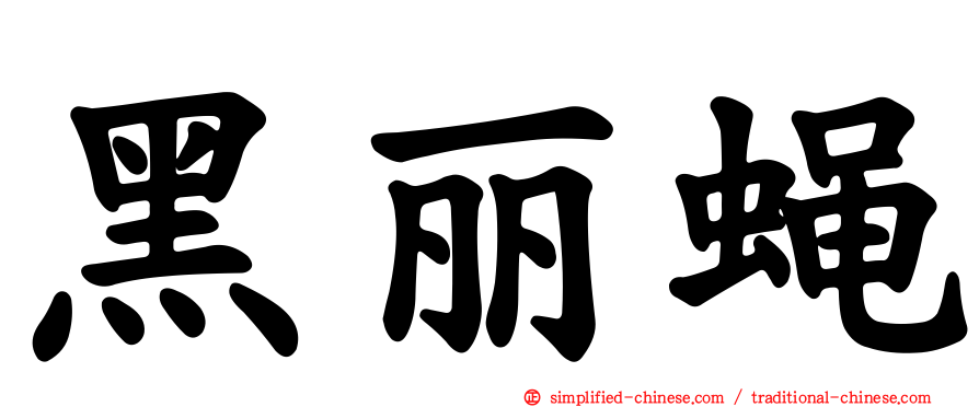 黑丽蝇