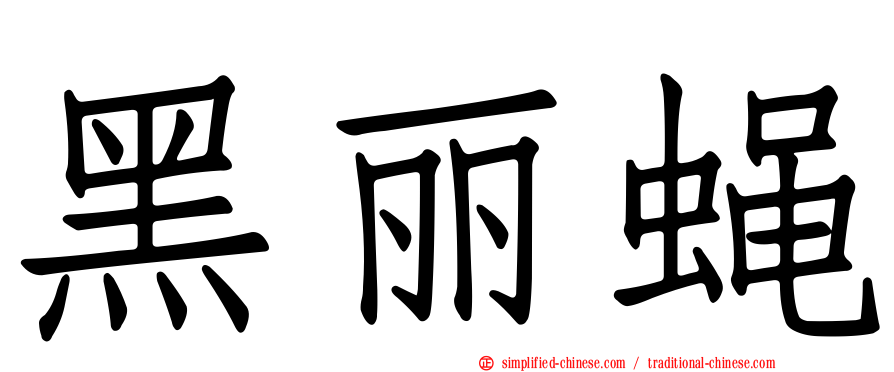 黑丽蝇
