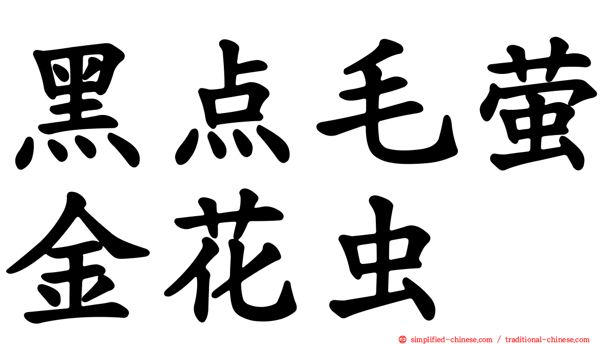 黑点毛萤金花虫