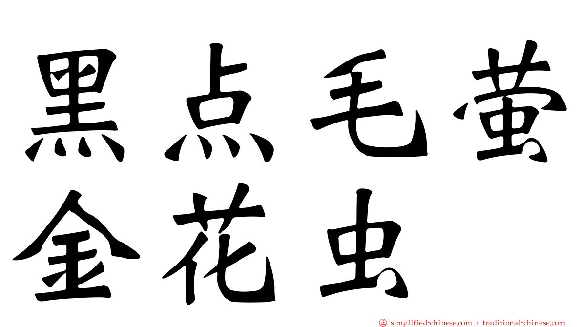 黑点毛萤金花虫