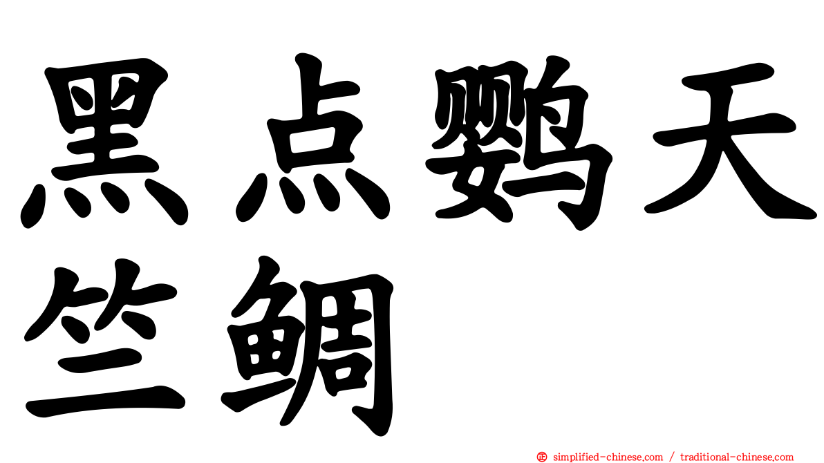黑点鹦天竺鲷