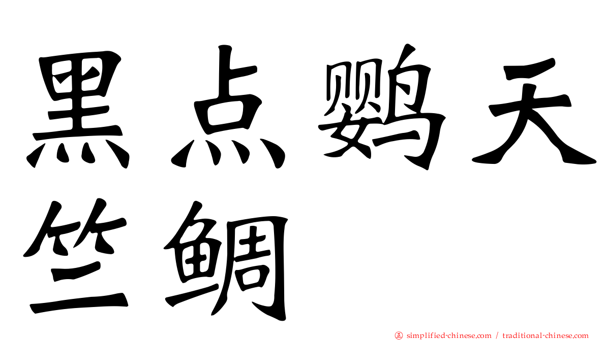 黑点鹦天竺鲷