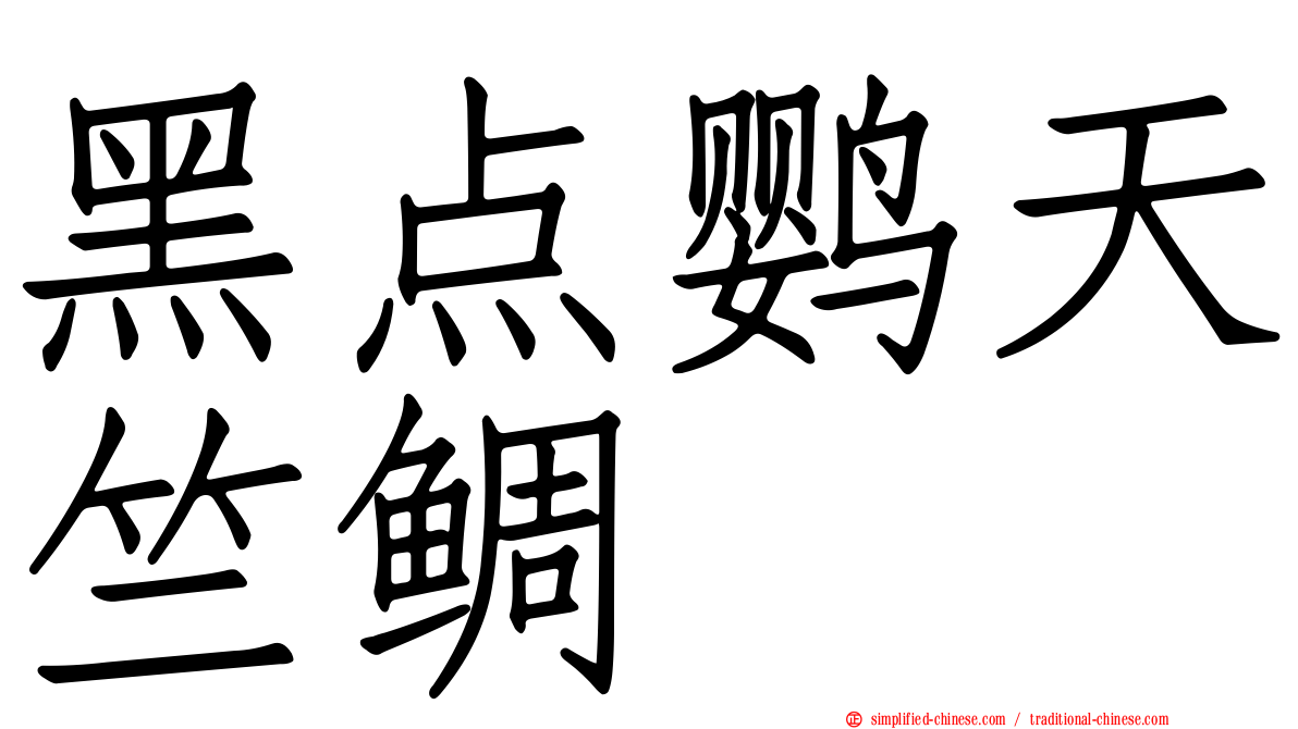 黑点鹦天竺鲷
