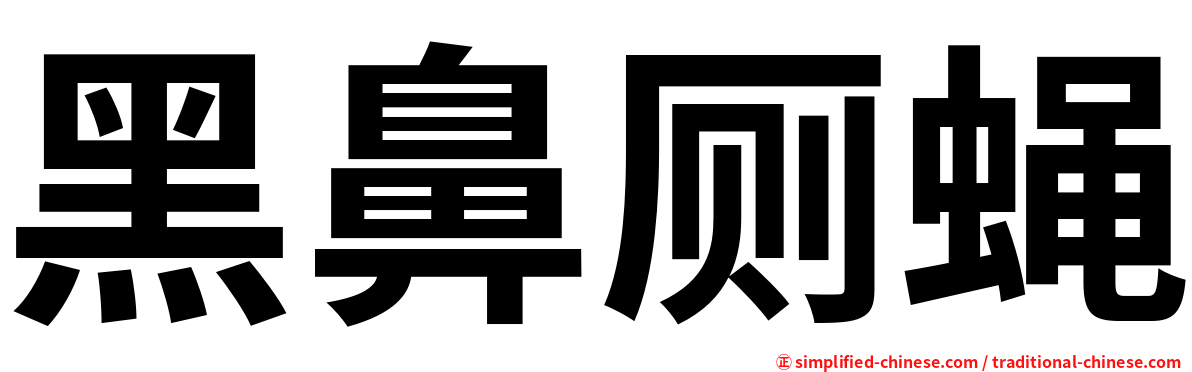 黑鼻厕蝇