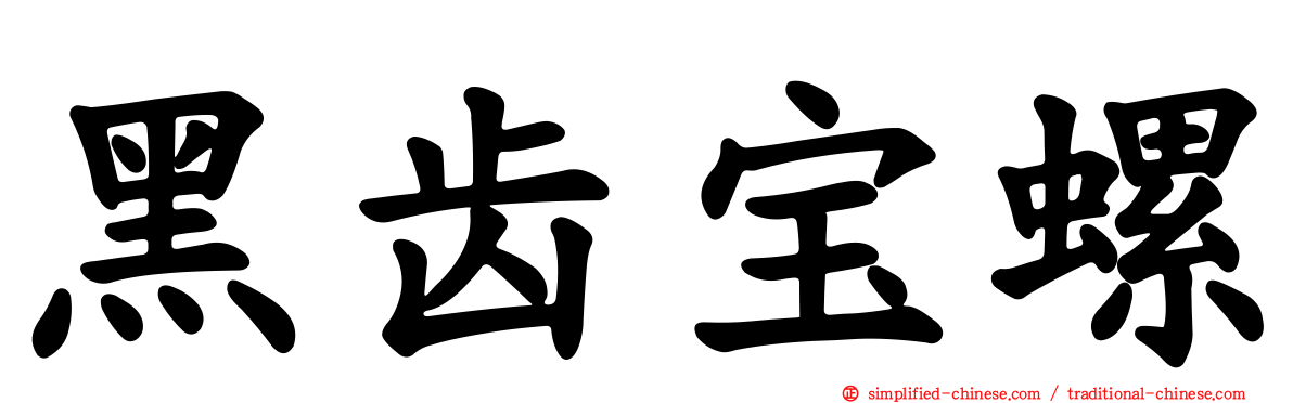 黑齿宝螺