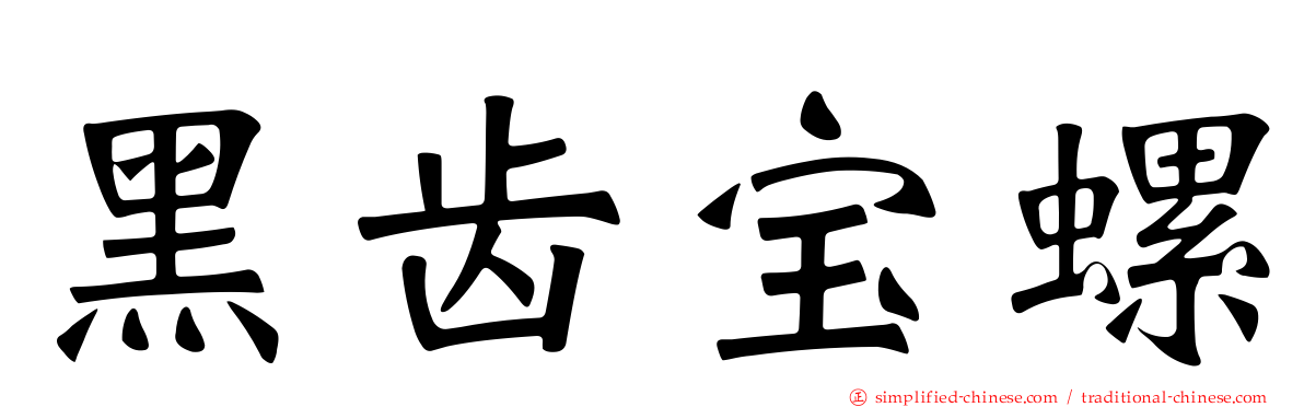 黑齿宝螺