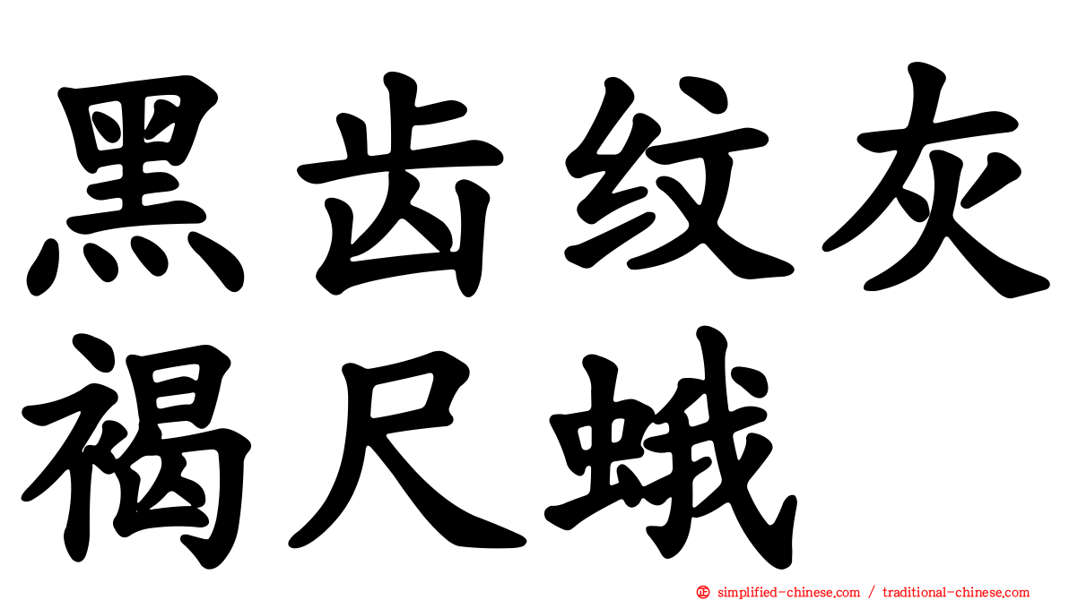 黑齿纹灰褐尺蛾