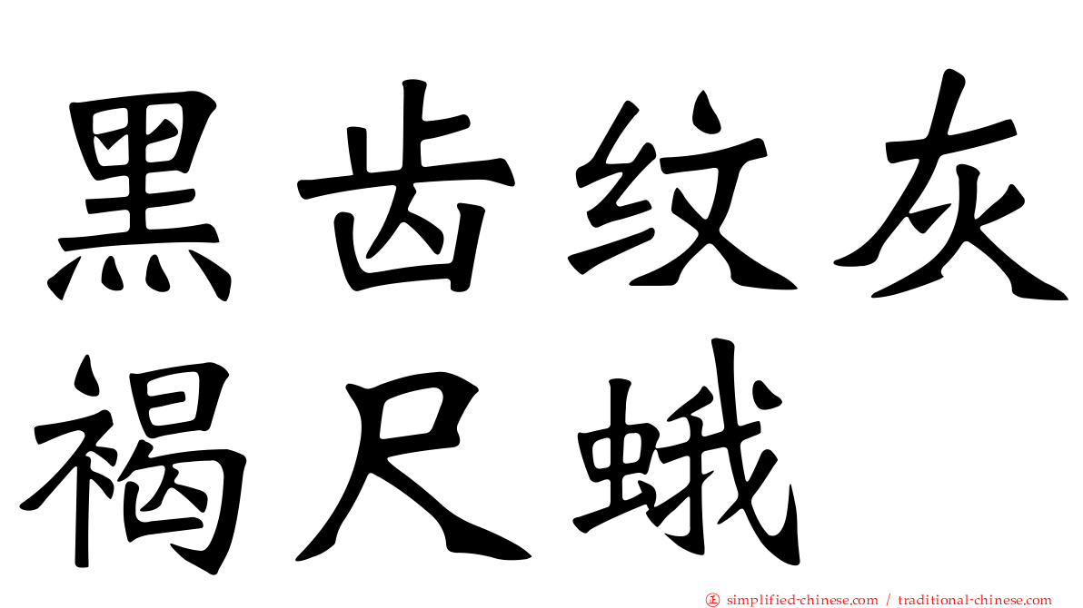 黑齿纹灰褐尺蛾